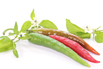 Chilis