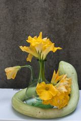 zucchini still life