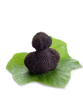 black truffle over leaf on white background