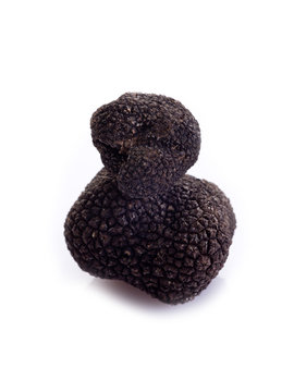 black truffle on white background