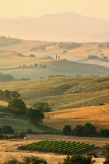 Italian countryside in Tuscany - 33862706