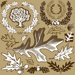 Oak Leaf Collection