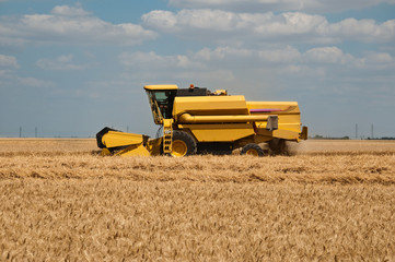 Obraz premium moissonneuse-batteuse
