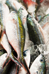 sea product from the adaman sea in local fish market