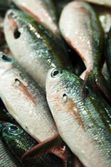 Product from the andaman sea