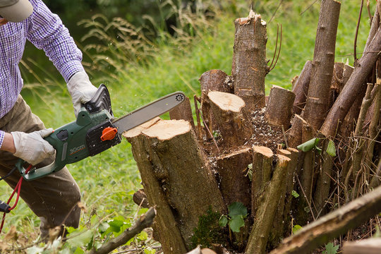 Gartenarbeit Baumf&auml;ller