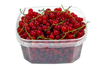 full of vitamins wet tasty red currant in the plastic semi trans