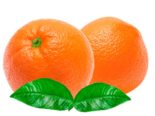 orange isolated on white background