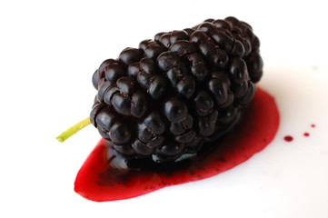 Mulberry isolated on a white
