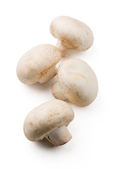 White button mushrooms isolated on white.