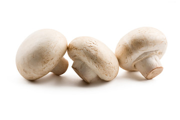 Three mushrooms isolated on white background