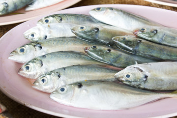 Product from the andaman sea