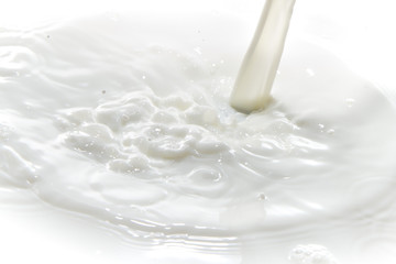 milk splash