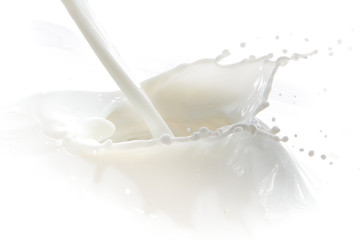 milk splash