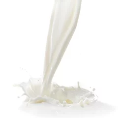 Aluminium Prints Milkshake milk splash