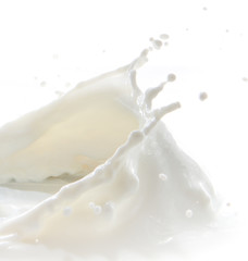 milk splash