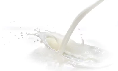 Store enrouleur Milk-shake milk splash
