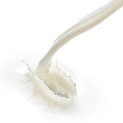 Obraz na płótnie Canvas milk splash