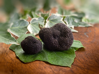 black truffle over leaf on wood background