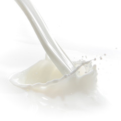 milk splash