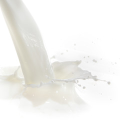 milk splash