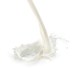 Fototapeta na wymiar mleka splash