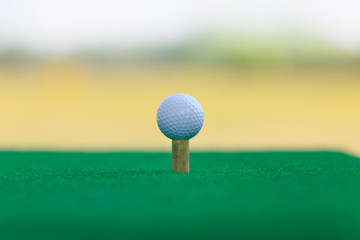 Golf Ball on the Green  with green background