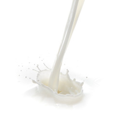 milk splash