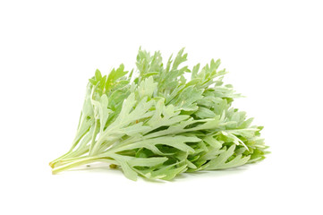 Wormwood Isolated on White Background