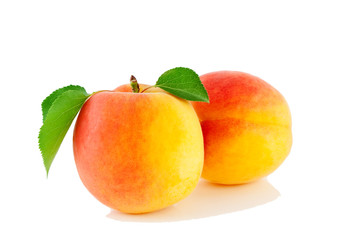 Fototapeta na wymiar Two apricots with leaves