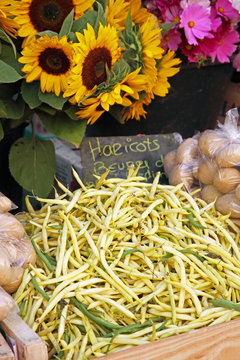 Au marché : Fleurs de Tournesol et Haricots Beurre