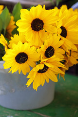 Au marché : Bouquet de Soleil (Fleurs de Potager)
