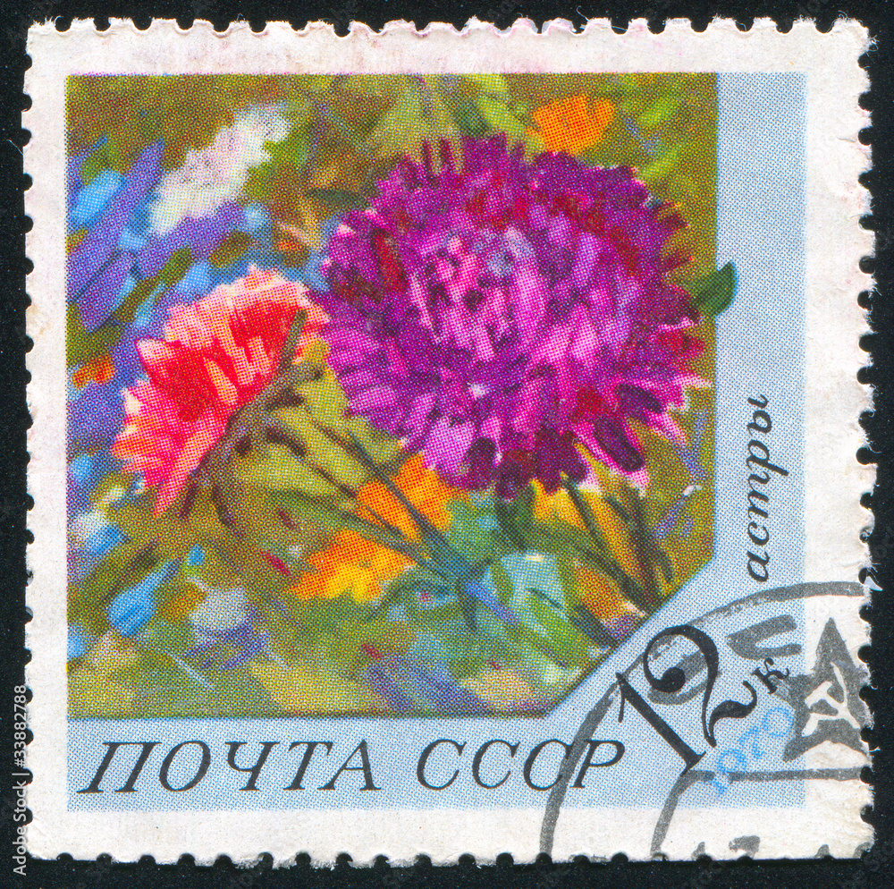 Canvas Prints poststamp flower