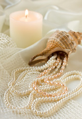 pearl and shell