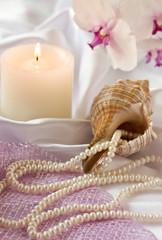 the pearls around the shell