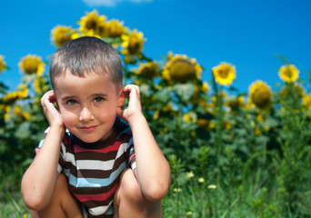 Little plays hide-and-seek in sunflowers