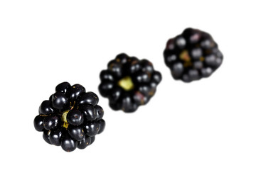 Frische Brombeeren,freisteller