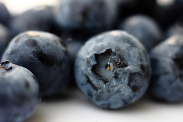 Isolated fruits - Bilberry