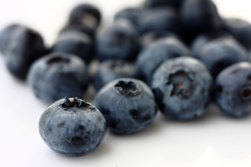 Isolated fruits - Bilberry