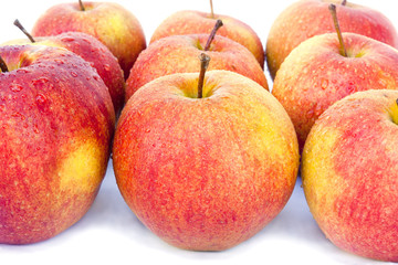 Apples Macspur