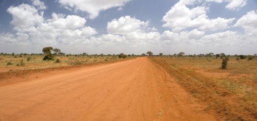 Obraz premium African savannah