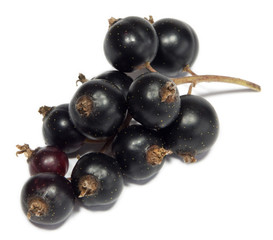 Currant fruits isolated on white
