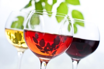 Wein