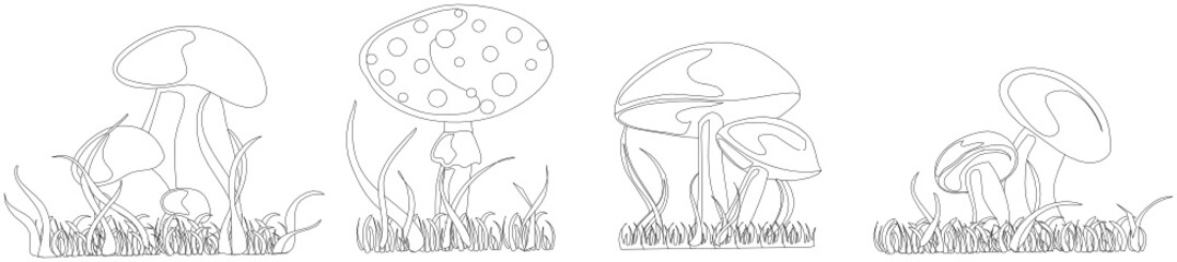 pilze outlines © fotograf-halle.com