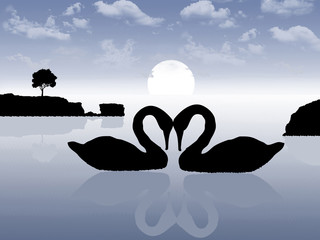 Ilustração - cisnes a nadar no lago - obrazy, fototapety, plakaty