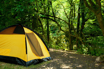 yellow tent