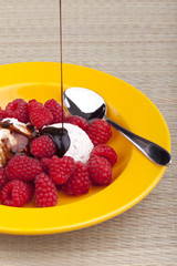Nachtisch mit Himbeeren  und Vanilleeis, serviert mit Schokosoße