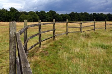 ring fenced