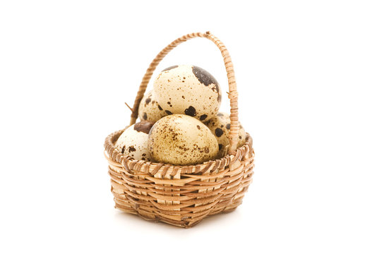 eggs in basket