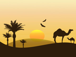 Ilustração sobre África - camelos no deserto